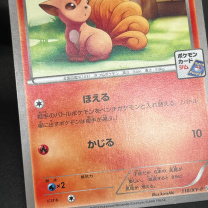 Vulpix 110/XY-P Promo Gym 4th MP Japanese Pokémon Card