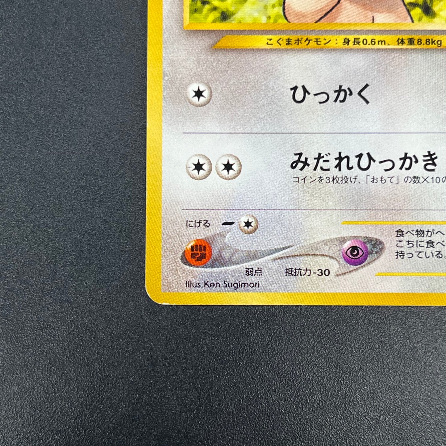 Teddiursa No. 216 Intro Pack Chikorita Deck Pokémon Card