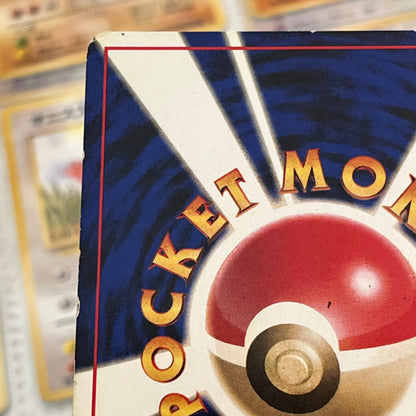 Jungle Normal 31set Complete Japanese Pokémon Card