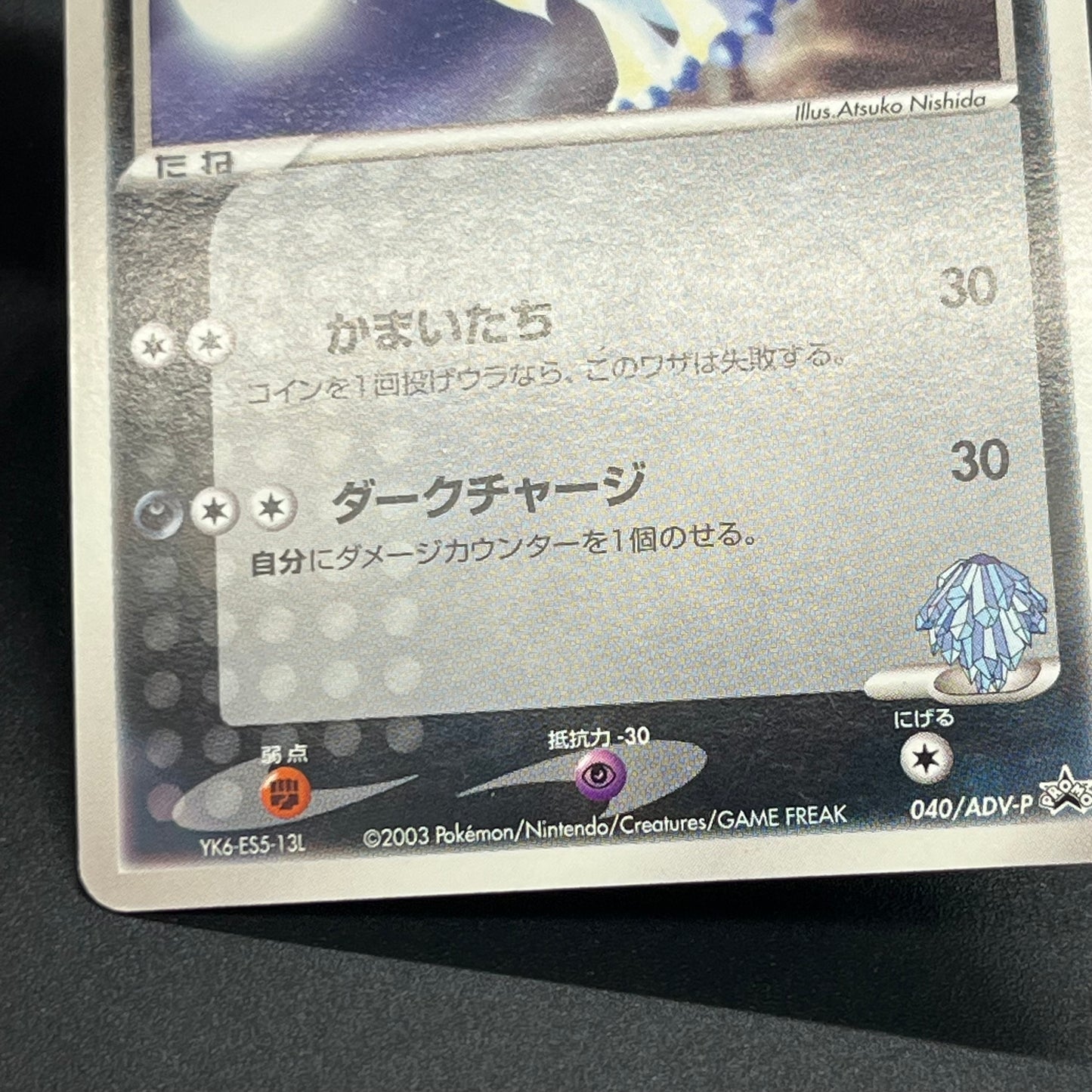 Forina's Absol 040/ADV-P Promo Gym Official Lottery Card