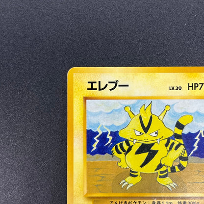 Electabuzz Intro Pack No.125 Bulbasaur Deck Pokémon Card