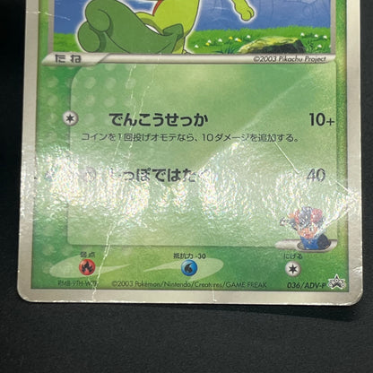 Ash's Treecko 036/ADV-P Shogakukan Promo Pokémon Card