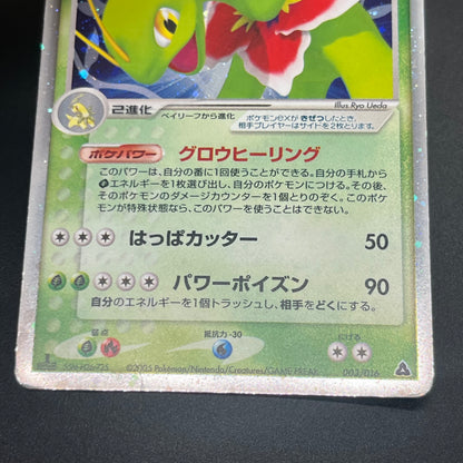 Feraligatr Meganium Unseen Forces Deck Holo Pokemon Card