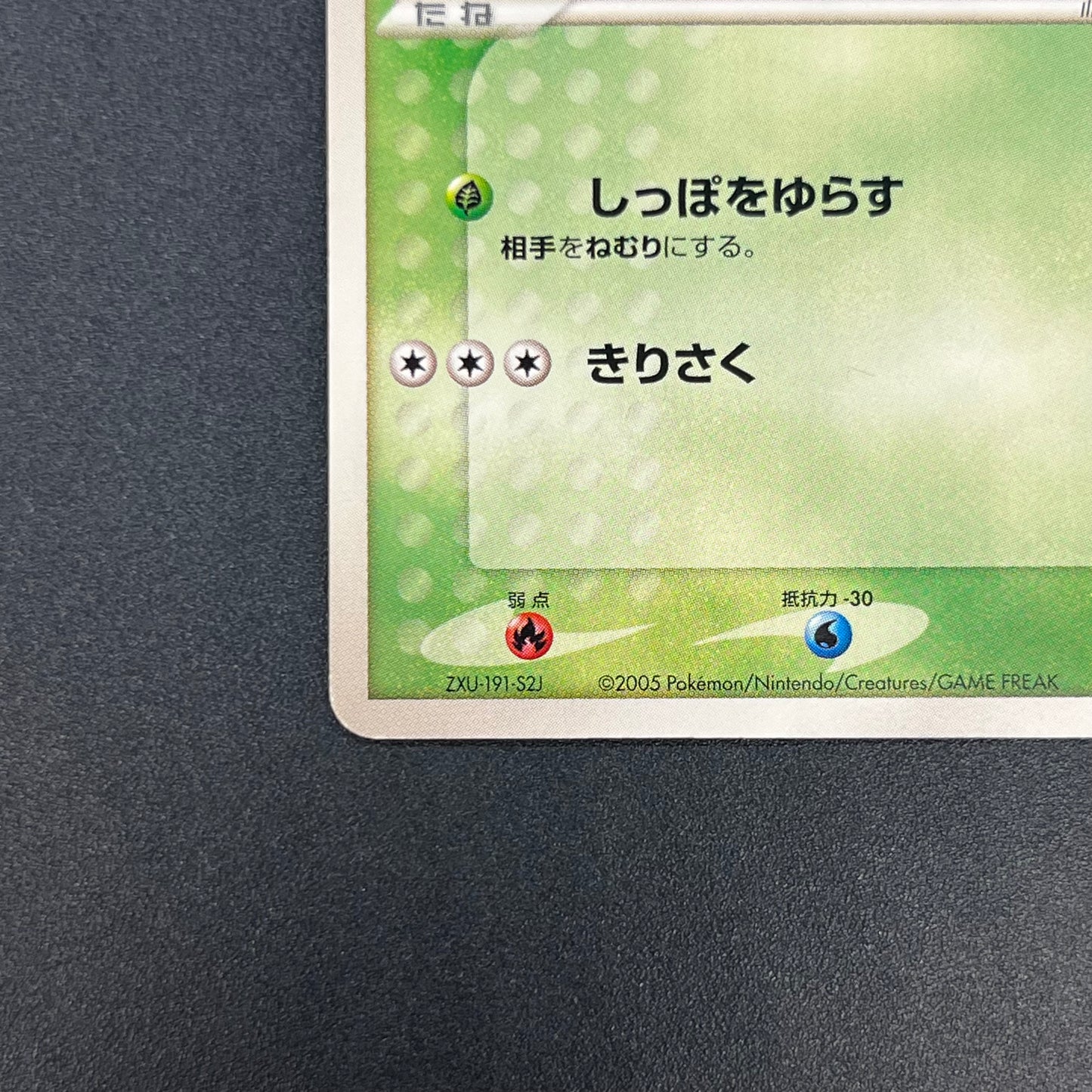 Treecko 037/PCG-P Yokohama Center Opening Pokemon Card
