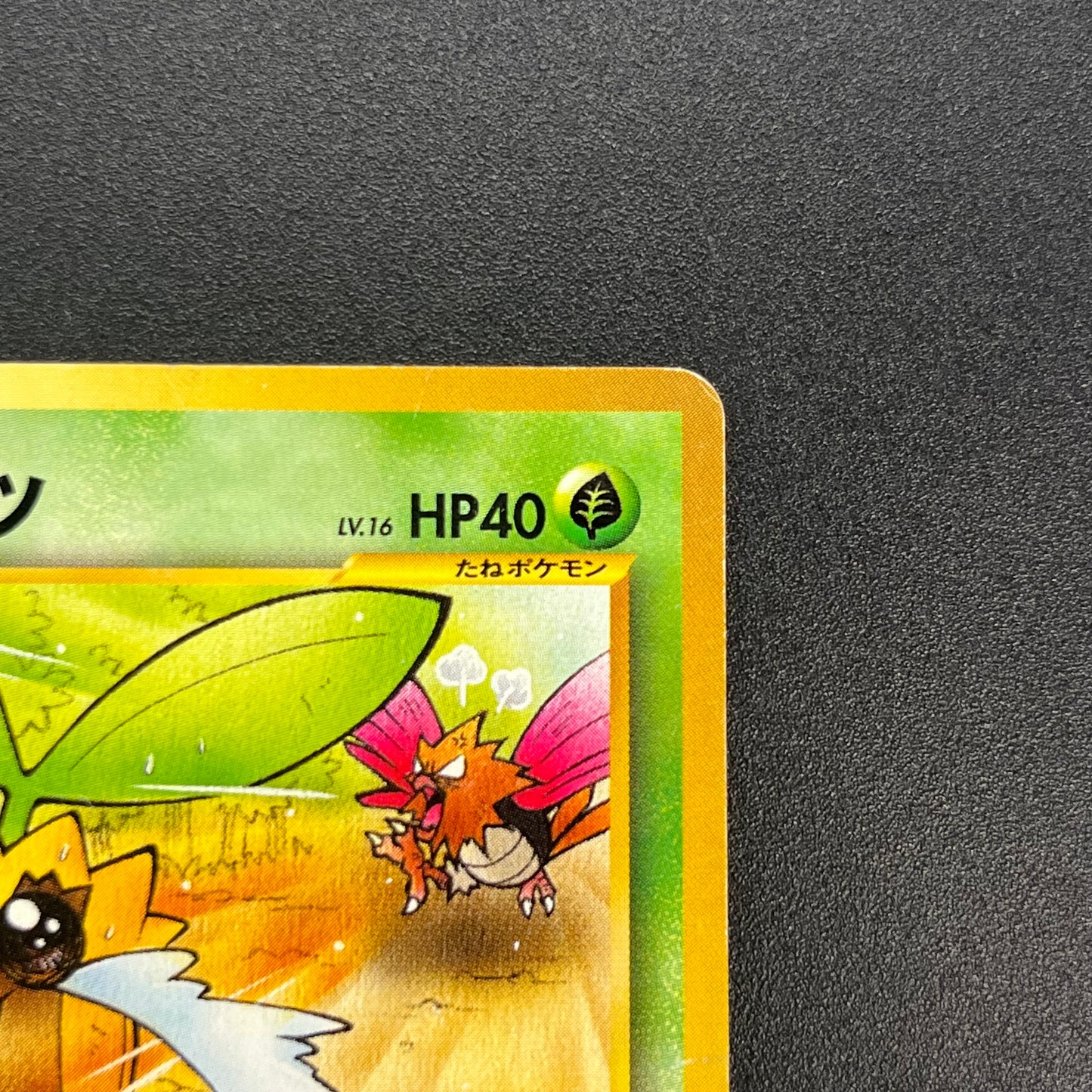 Sunkern 191 Natta Wake Vol.4 MP Promo Vintage Pokémon Card