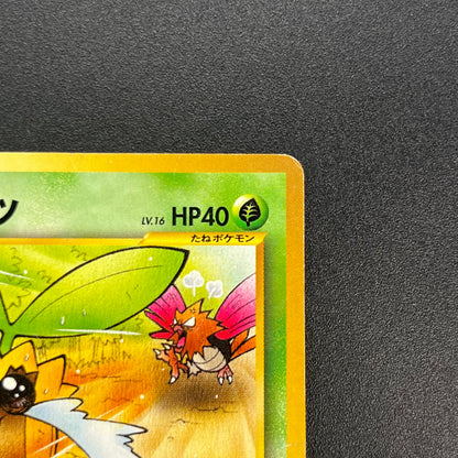 Sunkern 191 Natta Wake Vol.4 MP Promo Vintage Pokémon Card