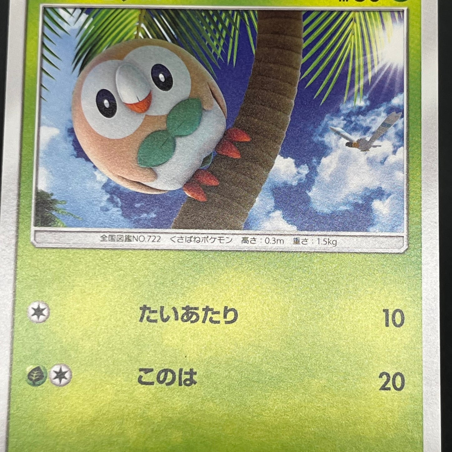 Rowlet 169/SM-P Promo Toys Kingdom promotion Pokemon Card