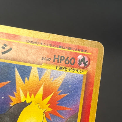 Quilava 156 Intro Pack Chikorita Half Deck Pokémon Card