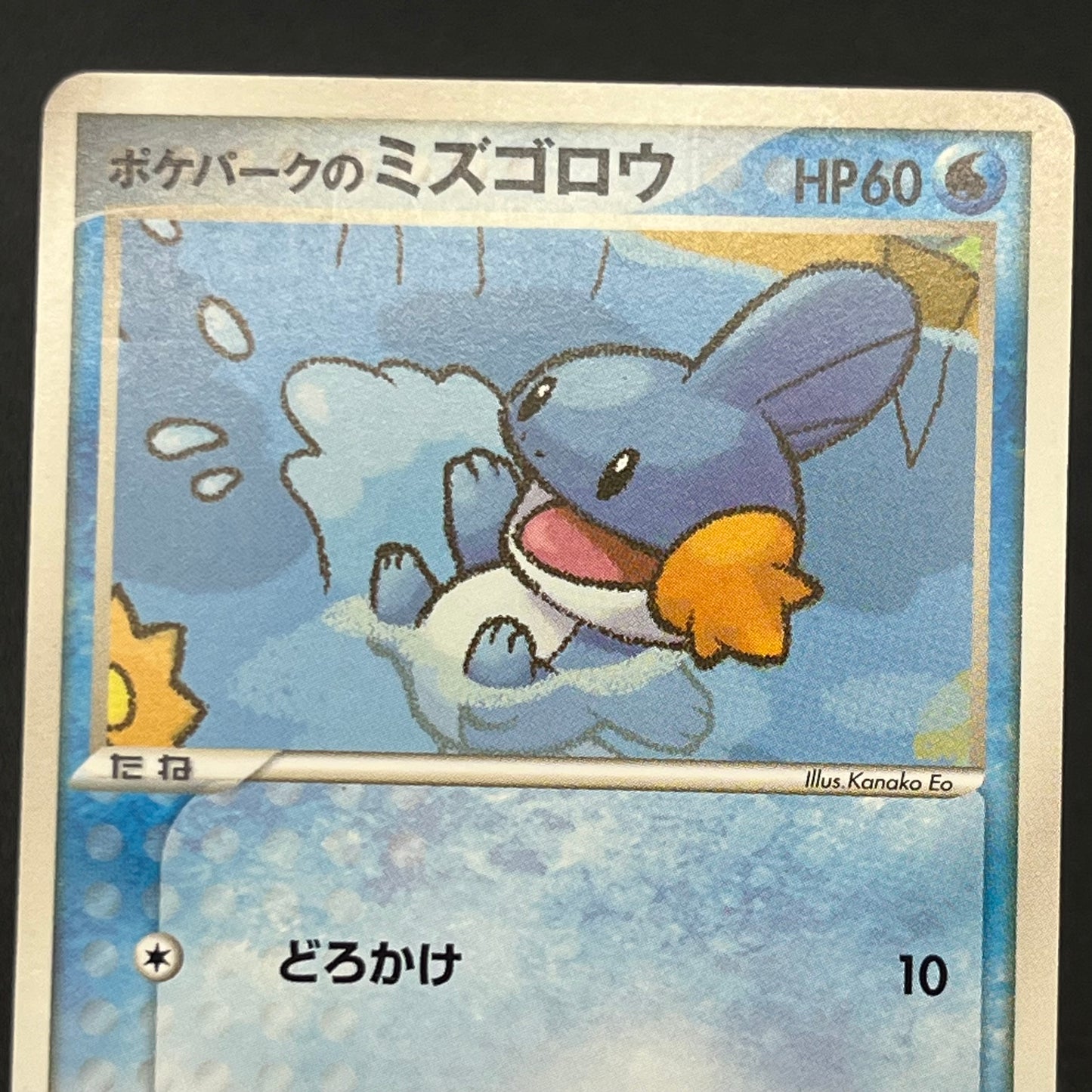 Pokepark's Mudkip 003/009 Pokepark Forest Pokémon Card