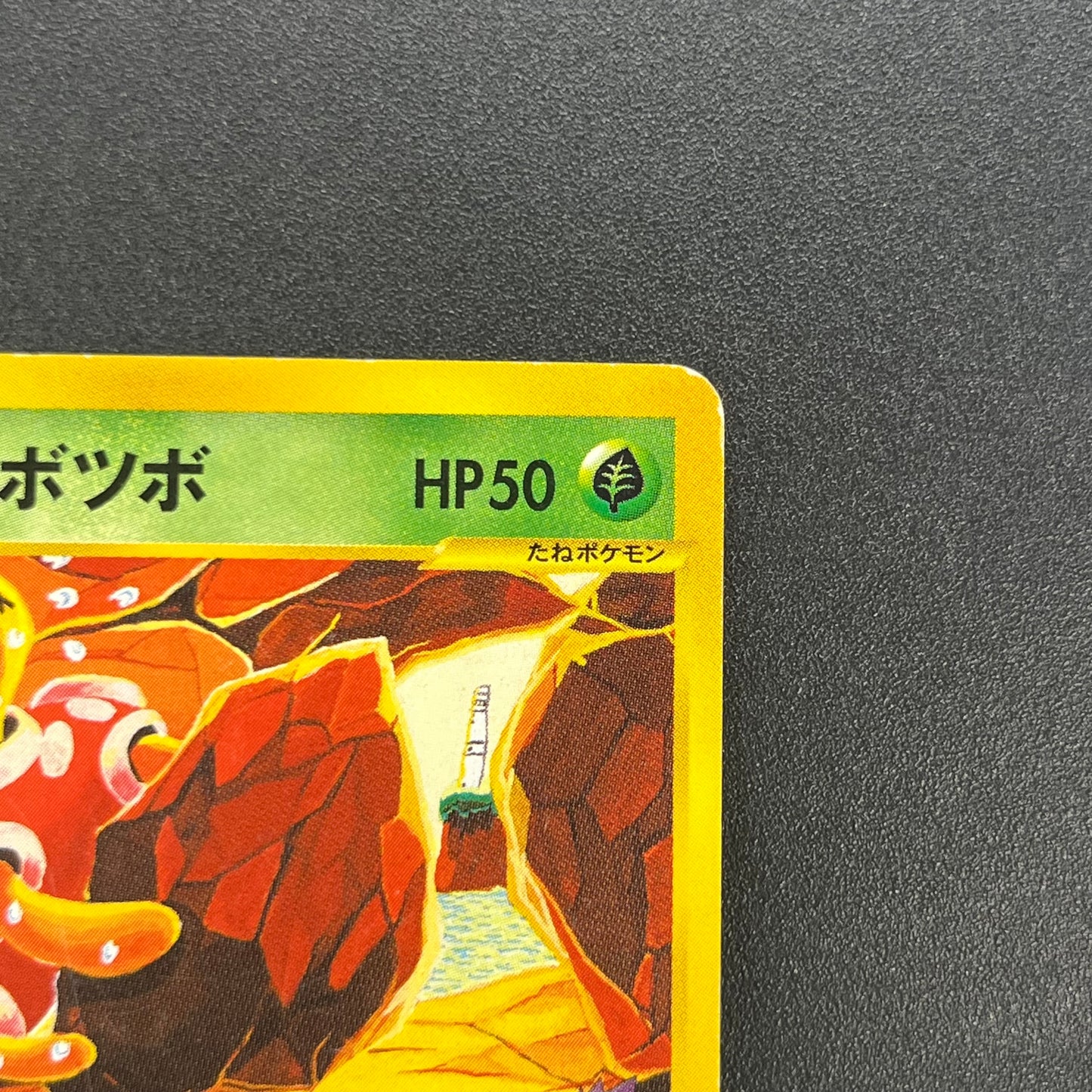 Janine's Shuckle 067/141 VS Series 1st Ed Pokémon Card