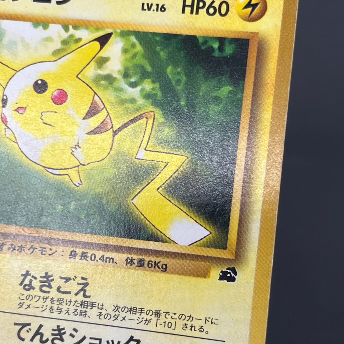 Pikachu No. 025 Intro Pack Bulbasaur Deck Pokémon Card