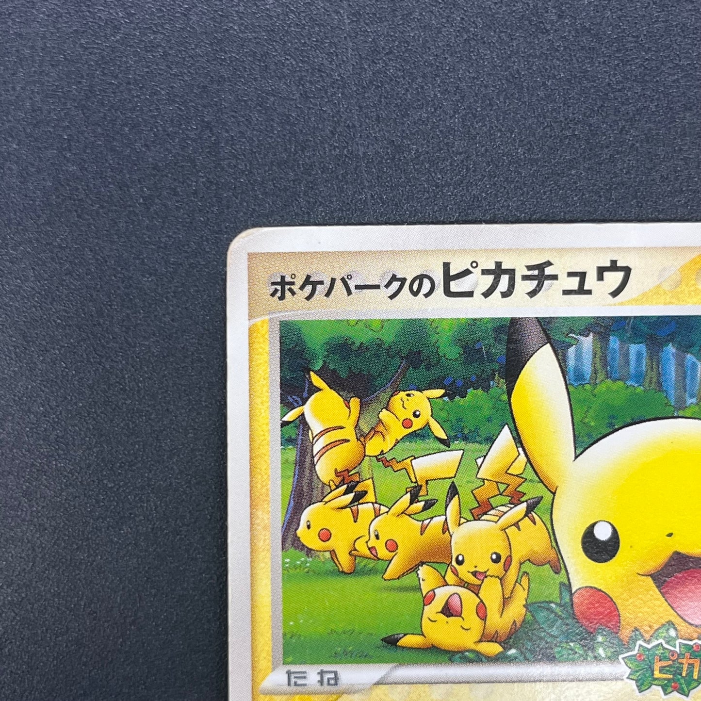 PokePark's Pikachu 043/PCG-P Promo Japanese Pokémon Card