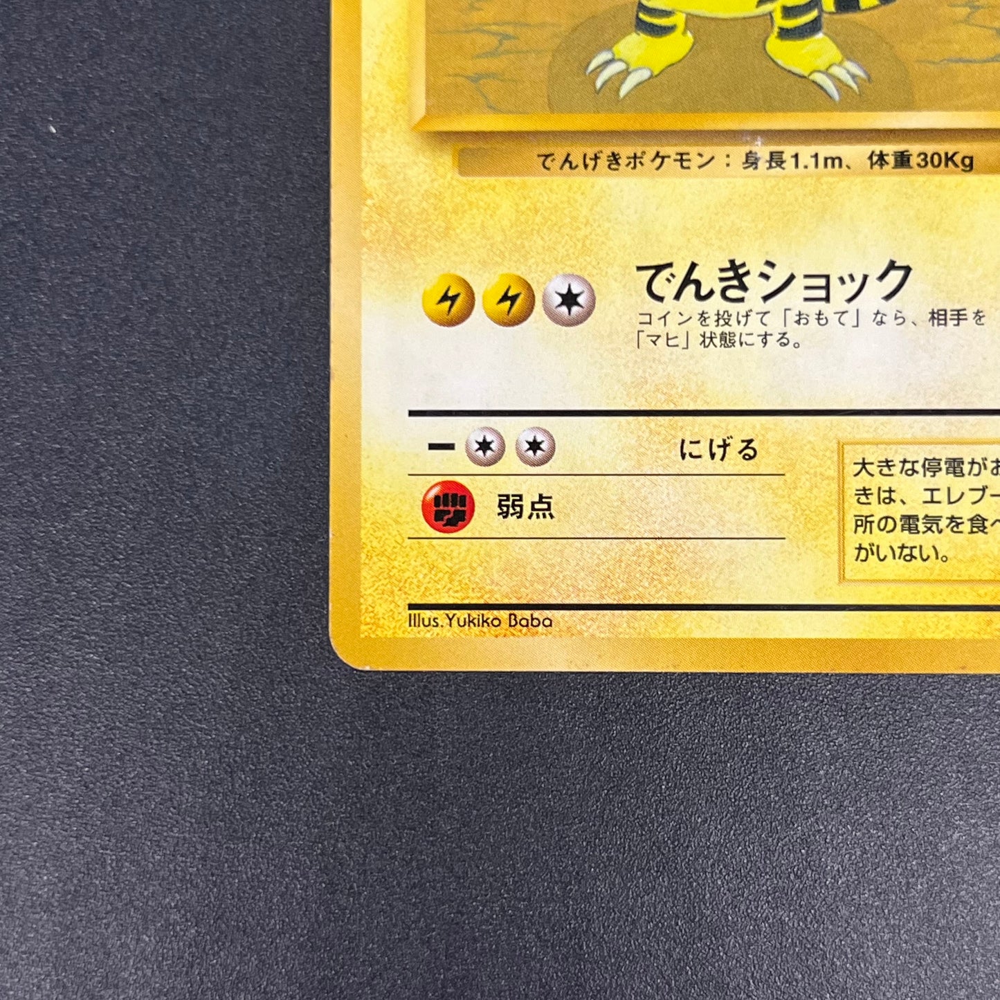 Electabuzz Intro Pack No.125 Bulbasaur Deck Pokémon Card
