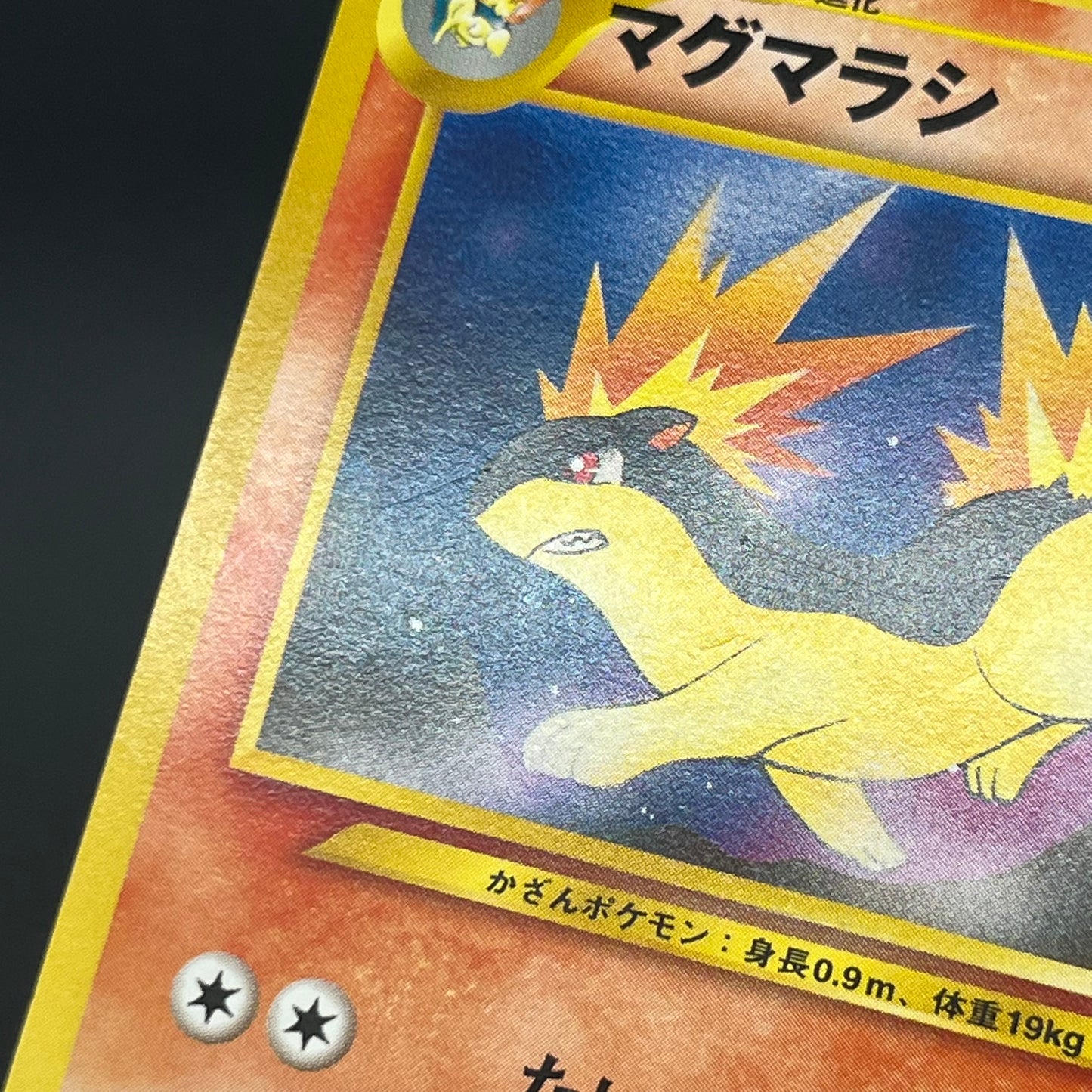 Quilava 156 Intro Pack Chikorita Half Deck Pokémon Card