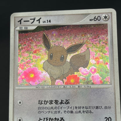 Eevee 063/DP-P Promo Trade Please event Pokemon Card