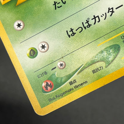 Chikorita No. 152 Intro Pack Promo Half Deck Pokémon Card