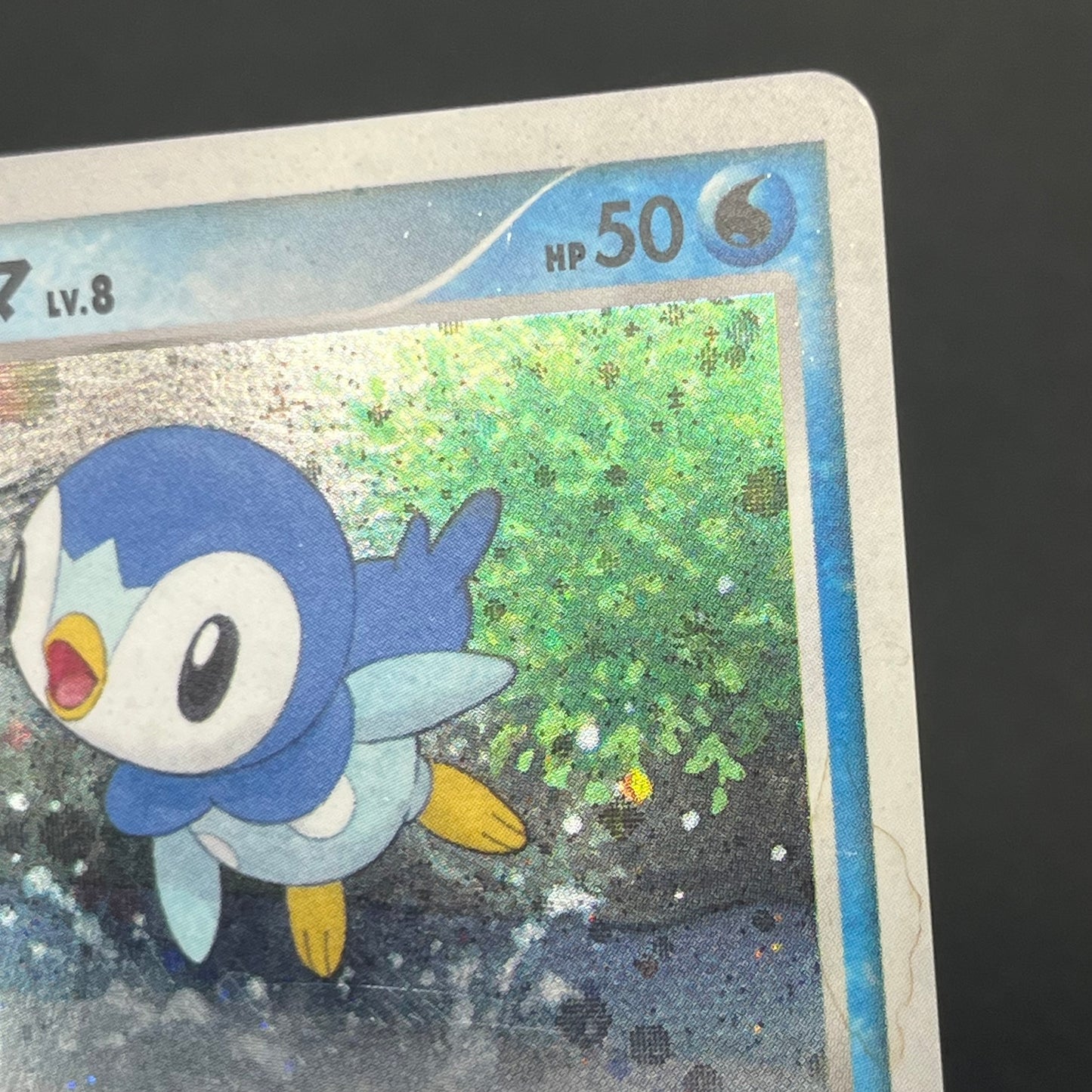 Piplup 003/PPP Promo Earn 2000 EXP Points Pokemon Card