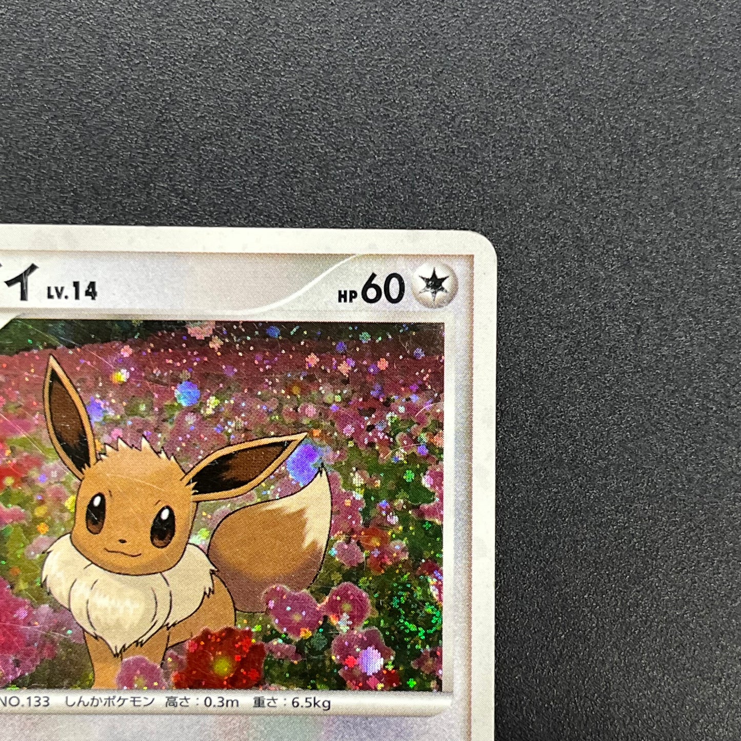 Eevee 063/DP-P Promo Trade Please event Pokémon Card