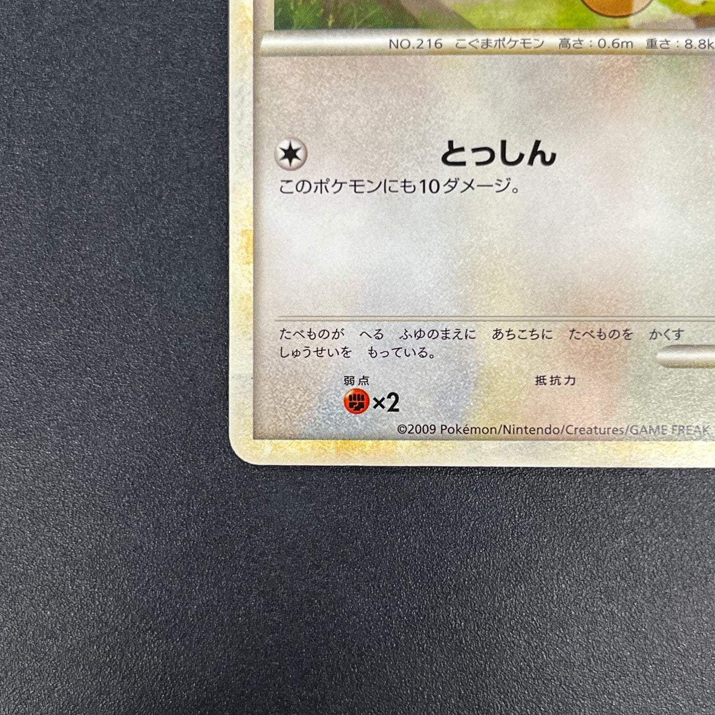 Teddiursa 039/L-P Pokemon Center Promo Pokemon Card