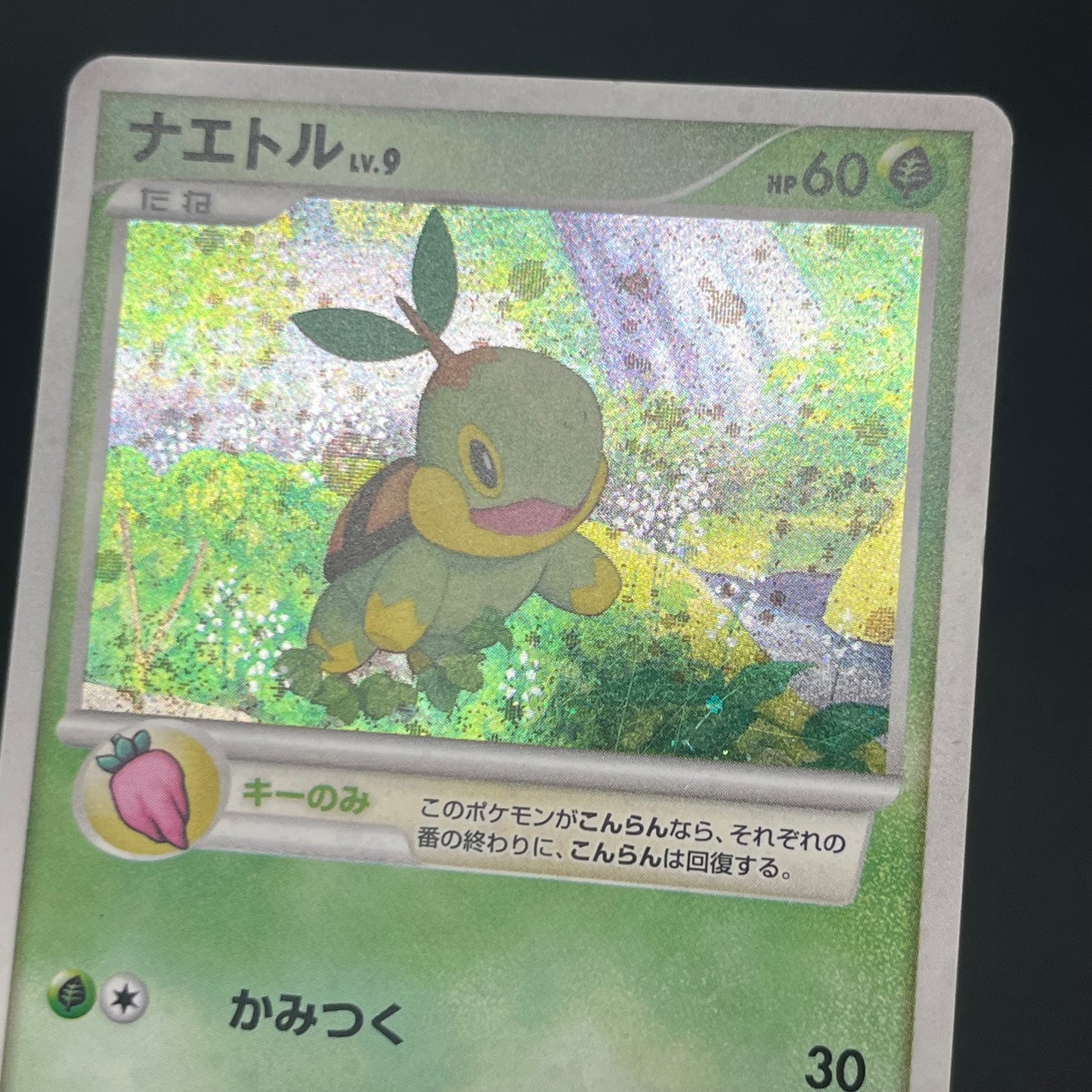 Piplup 003/PPP Chimchar Turtwig Promo 3set Pokemon Card