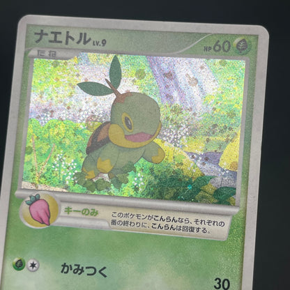 Piplup 003/PPP Chimchar Turtwig Promo 3set Pokemon Card