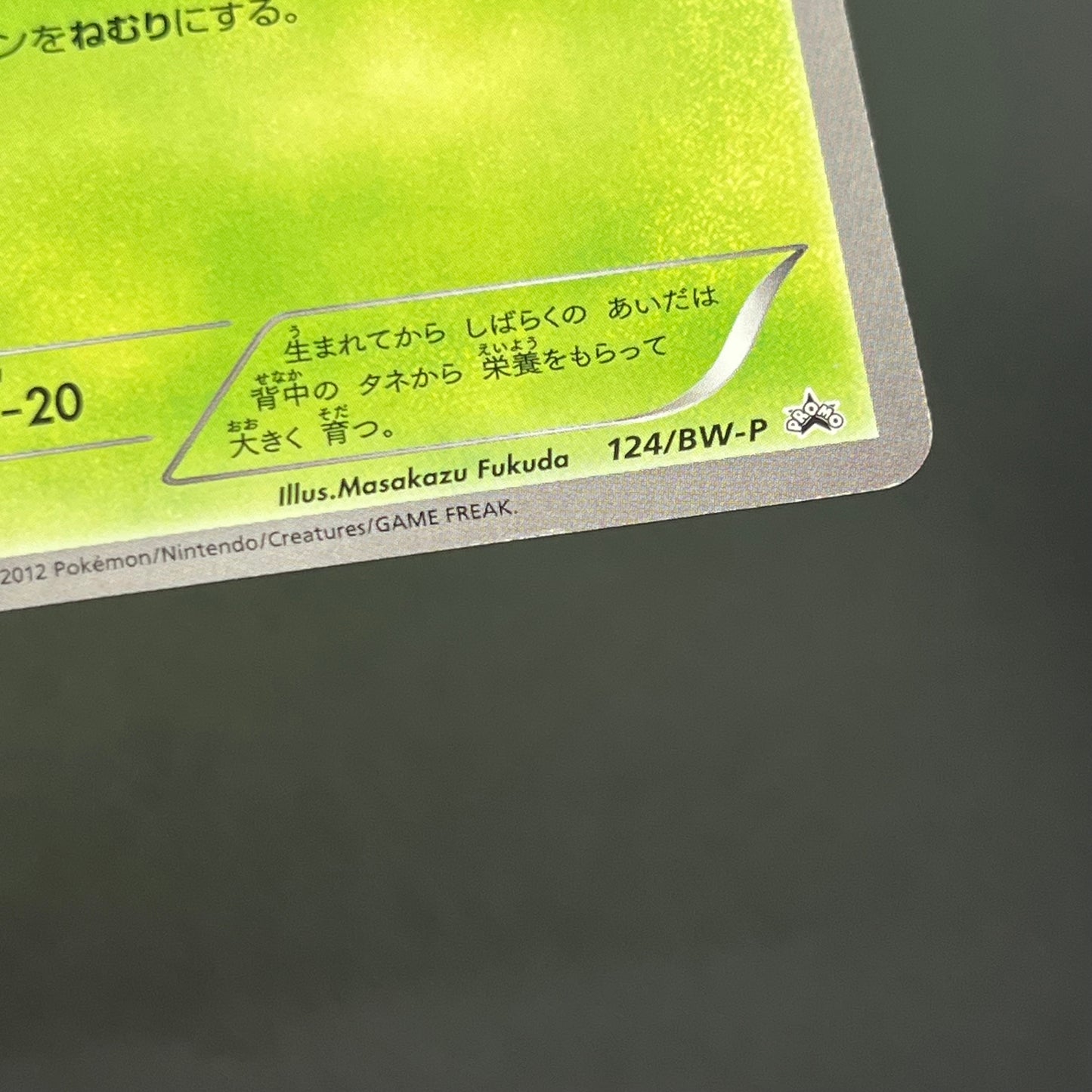 Bulbasaur 124/BW-P Gym Challenge Promo Pokémon Card