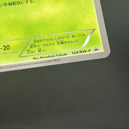 Bulbasaur 124/BW-P Gym Challenge Promo Pokémon Card
