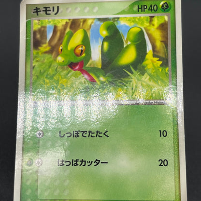 Treecko Torchic Mudkip 005/ADV-P McDonald's Pokémon Card