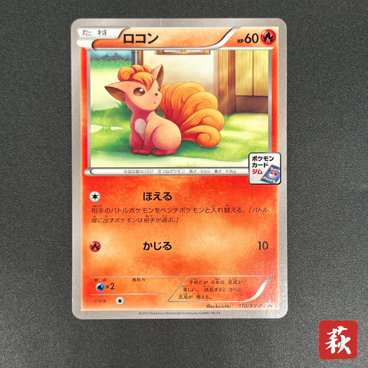 Vulpix 110/XY-P Promo Gym 4th MP Japanese Pokémon Card