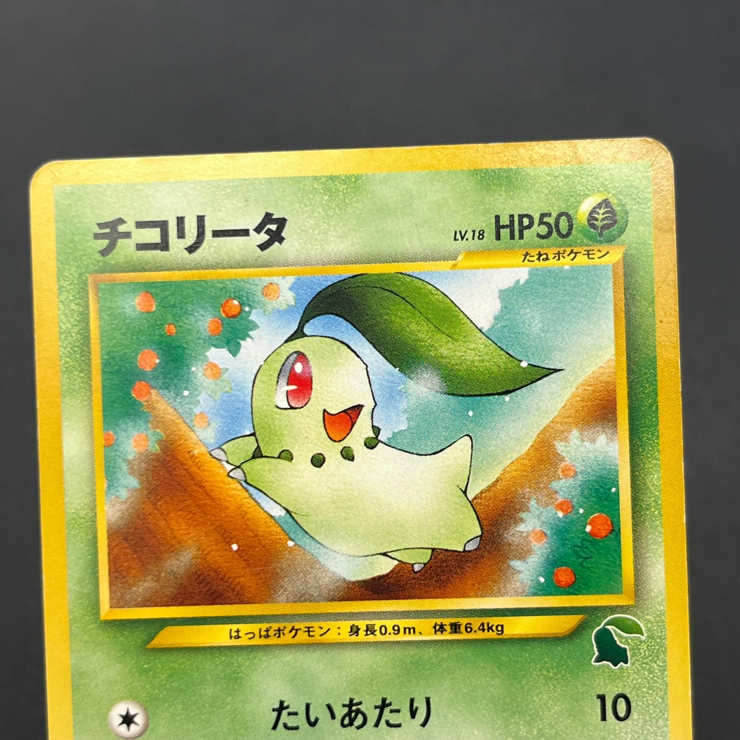 Chikorita No. 152 Intro Pack Promo Half Deck Pokémon Card