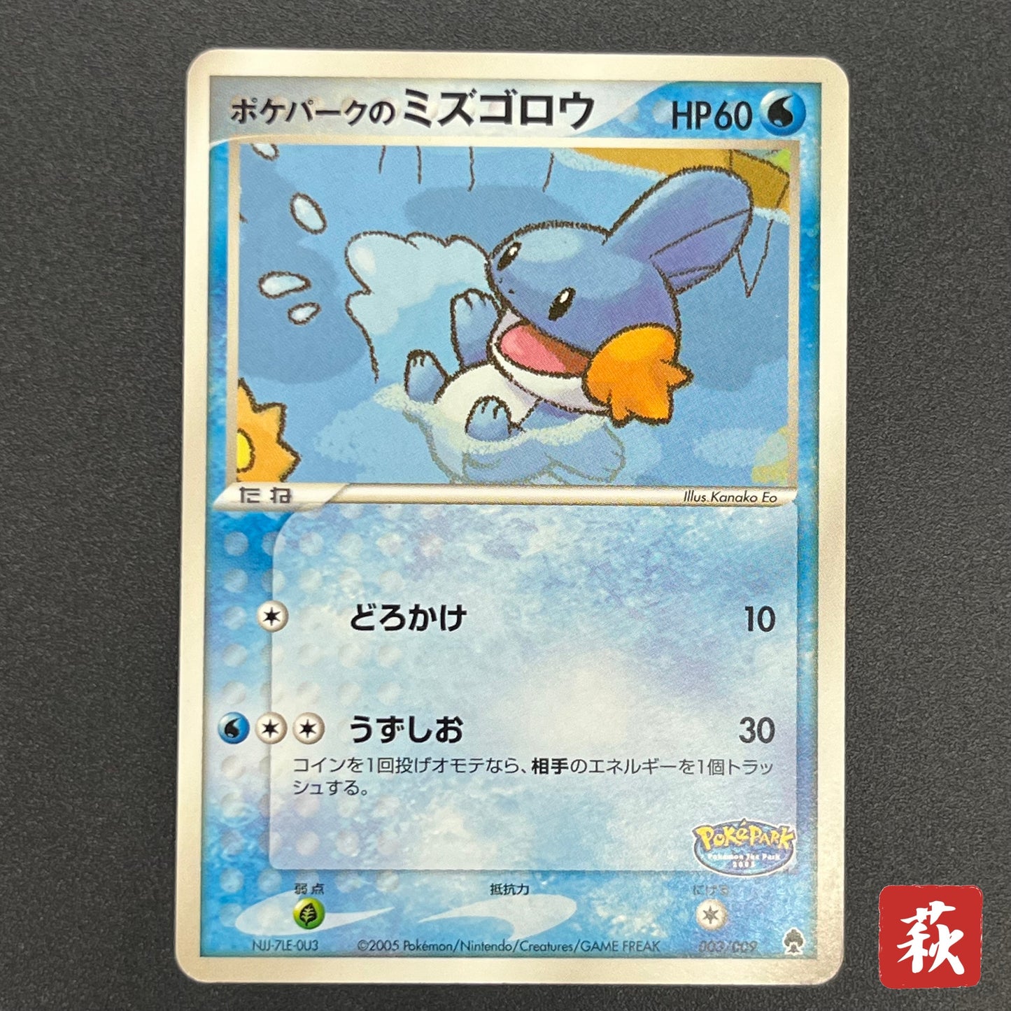 Pokepark's Mudkip 003/009 Pokepark Forest Pokémon Card