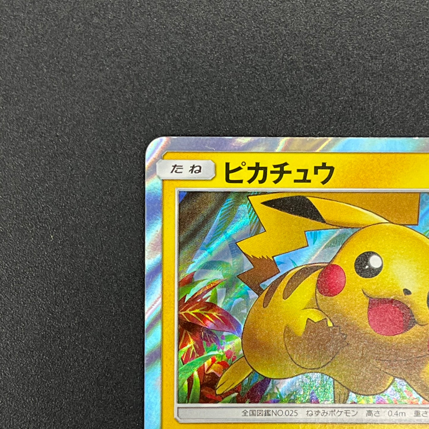 Pikachu 008/SM-P Promo Toys "R" Us exclusive Pokémon Card