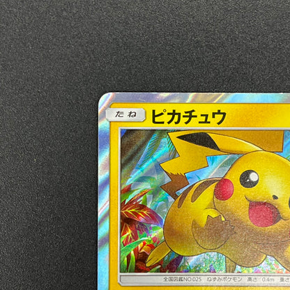 Pikachu 008/SM-P Promo Toys "R" Us exclusive Pokémon Card