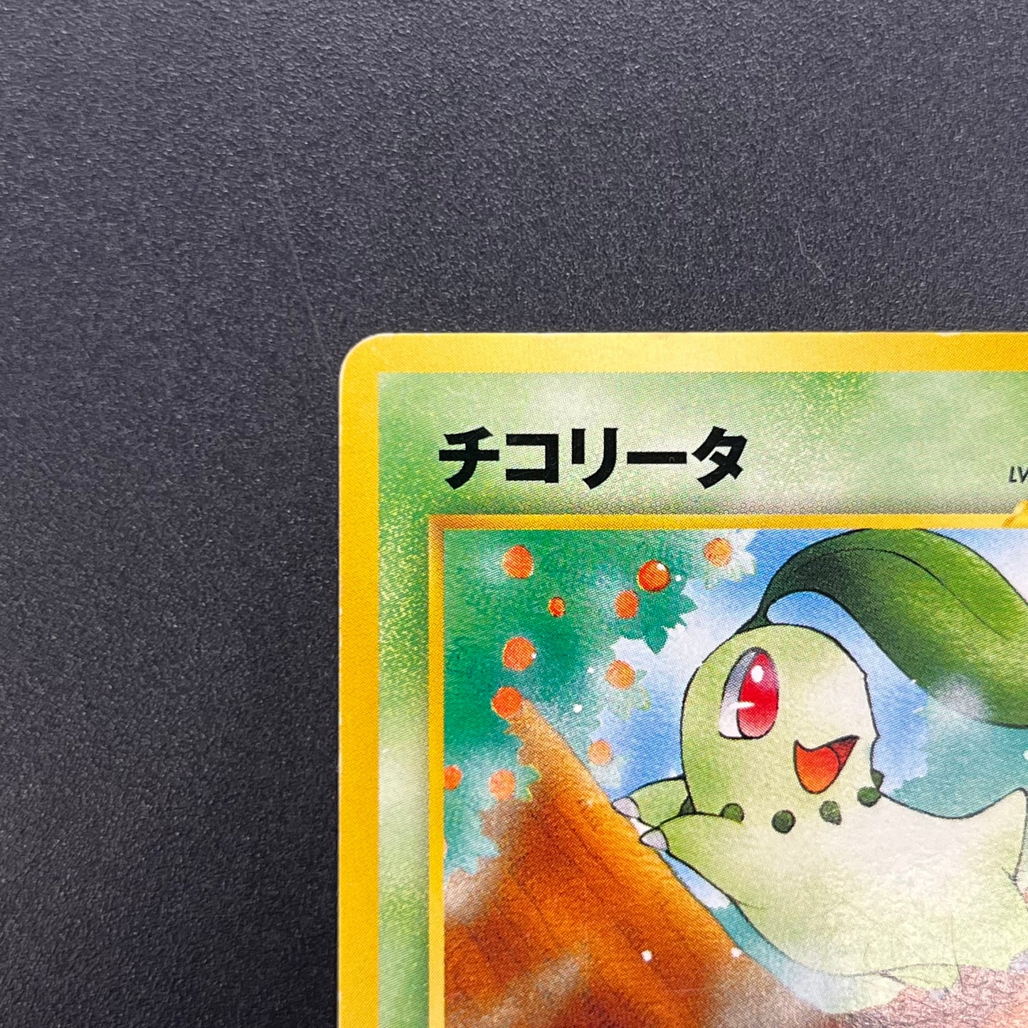 Chikorita No. 152 Intro Pack Promo Half Deck Pokémon Card