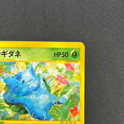 Bulbasaur 001/029 EStarter Deck e Japanese Pokémon Card