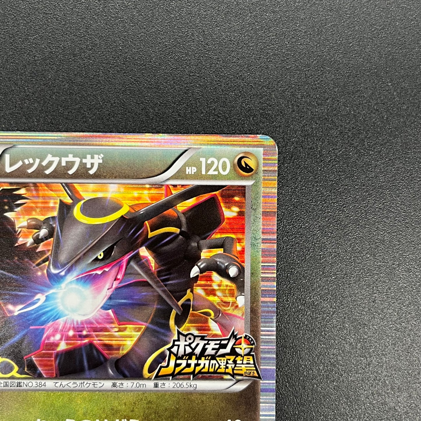 Rayquaza 144/BW-P Black Nobunaga 2 Pokémon Card Japanese