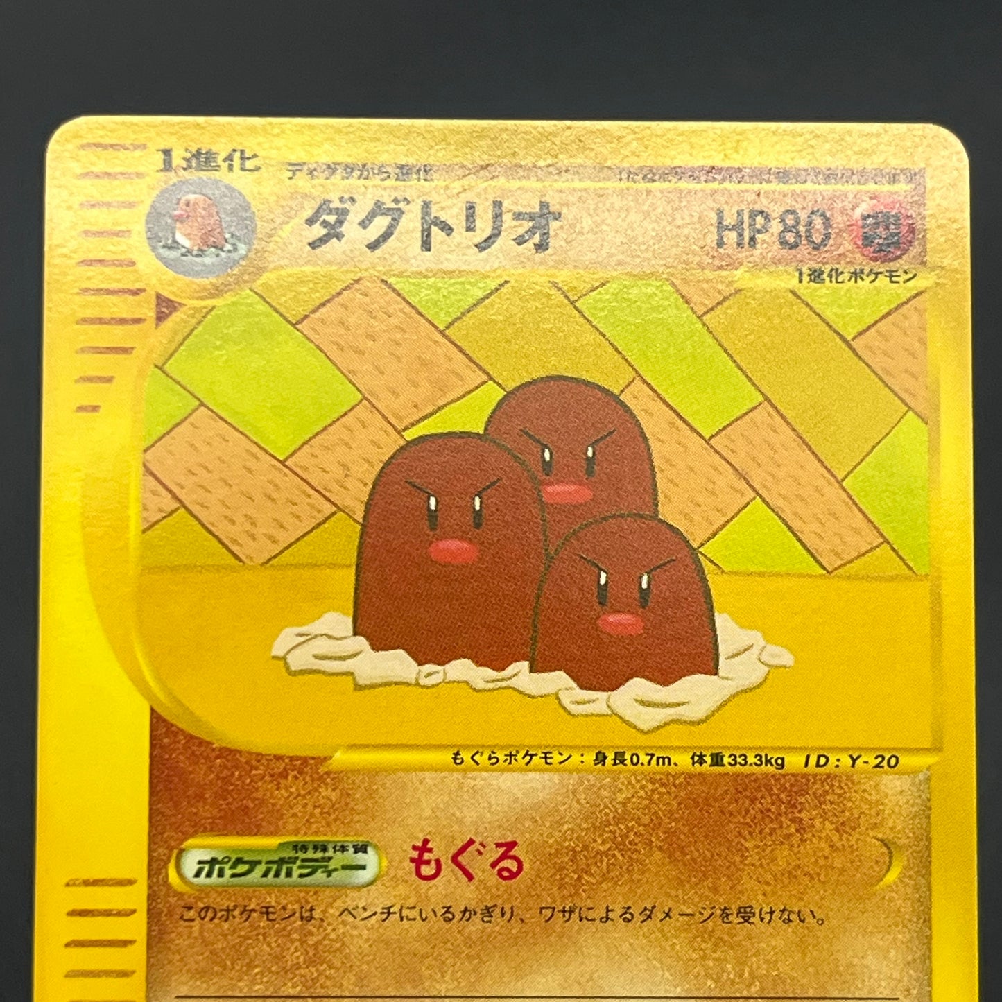 Diglett 013/048 Dugtrio Web Miki Tanaka Pokémon Card