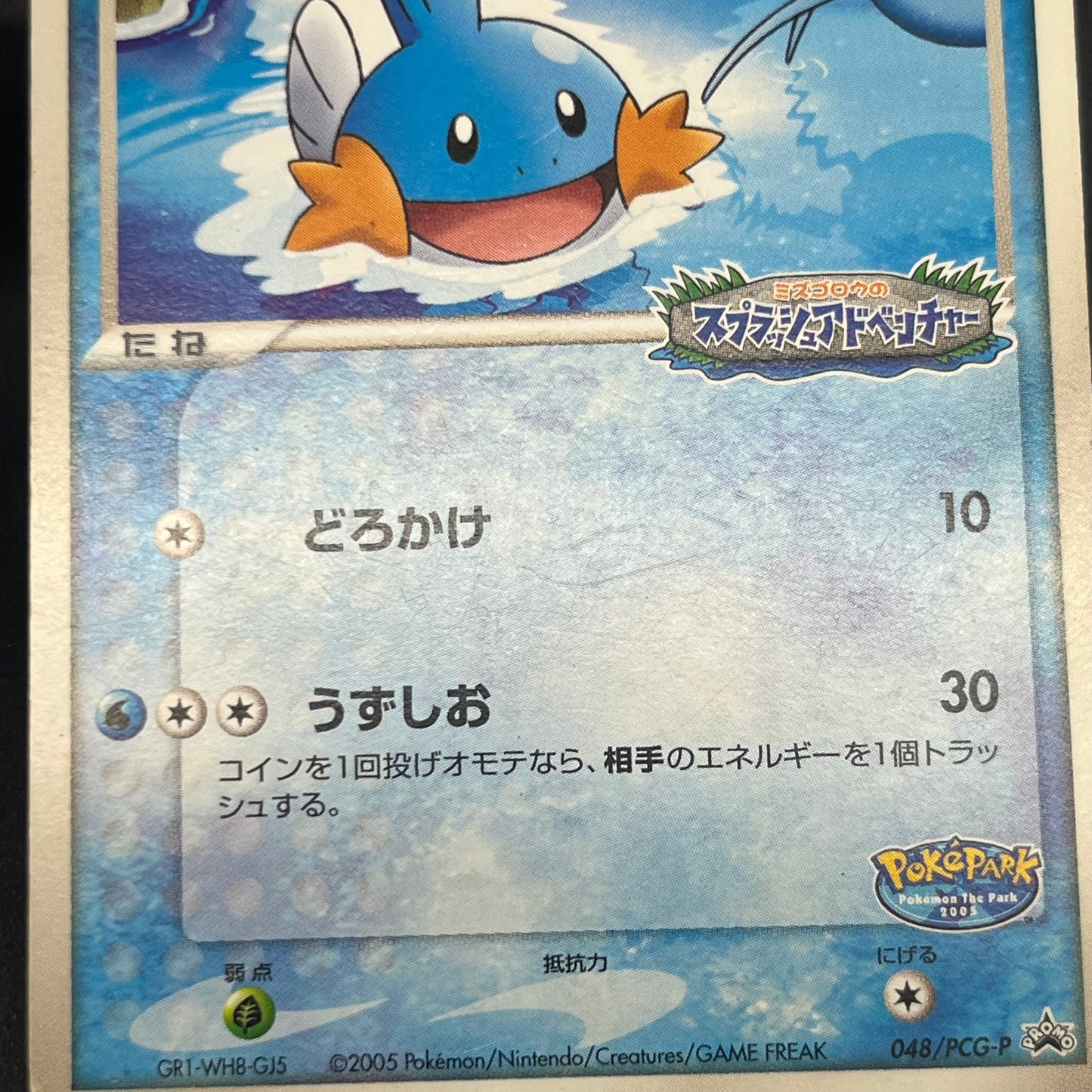 PokePark's Mudkip 048/PCG-P Promo Japanese Pokemon Card