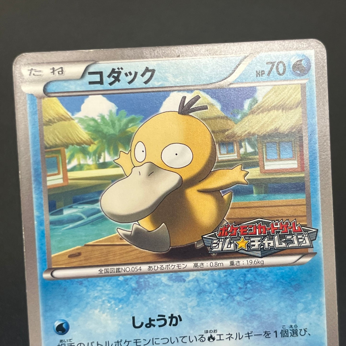Psyduck 167/BW-P Gym Challenge Promo Japanese Pokémon Card