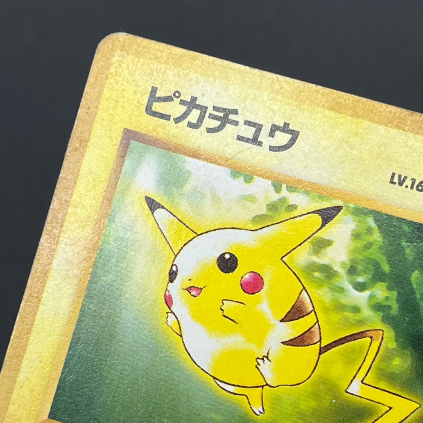 Pikachu No. 025 Intro Pack Bulbasaur Deck Pokémon Card