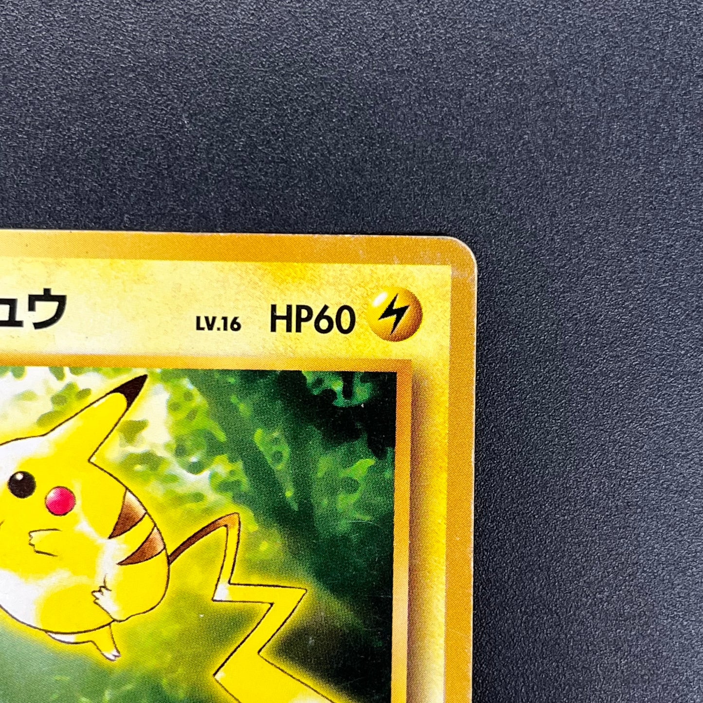 Pikachu No. 025 Intro Pack Bulbasaur Deck Pokémon Card