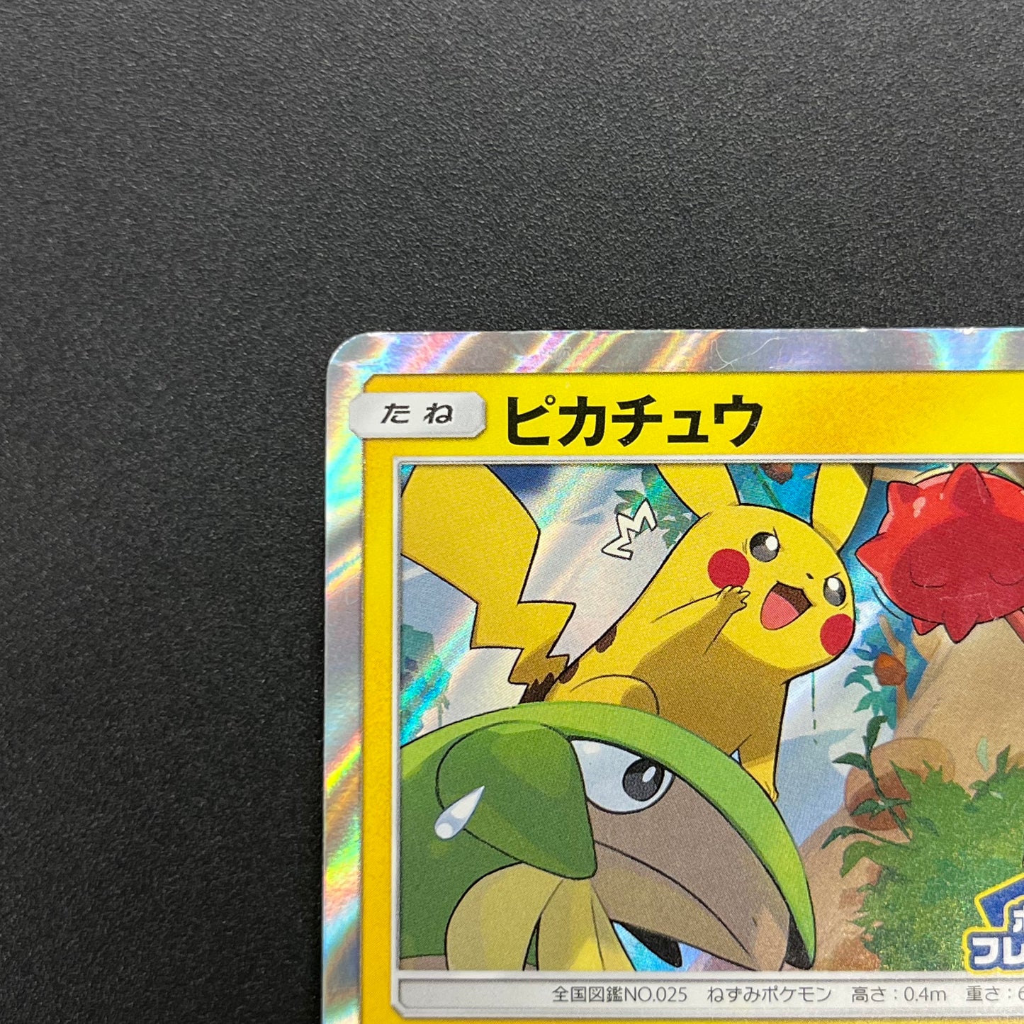 Pikachu 227/SM-P Promo Friendly Shop Japanese Pokémon Card