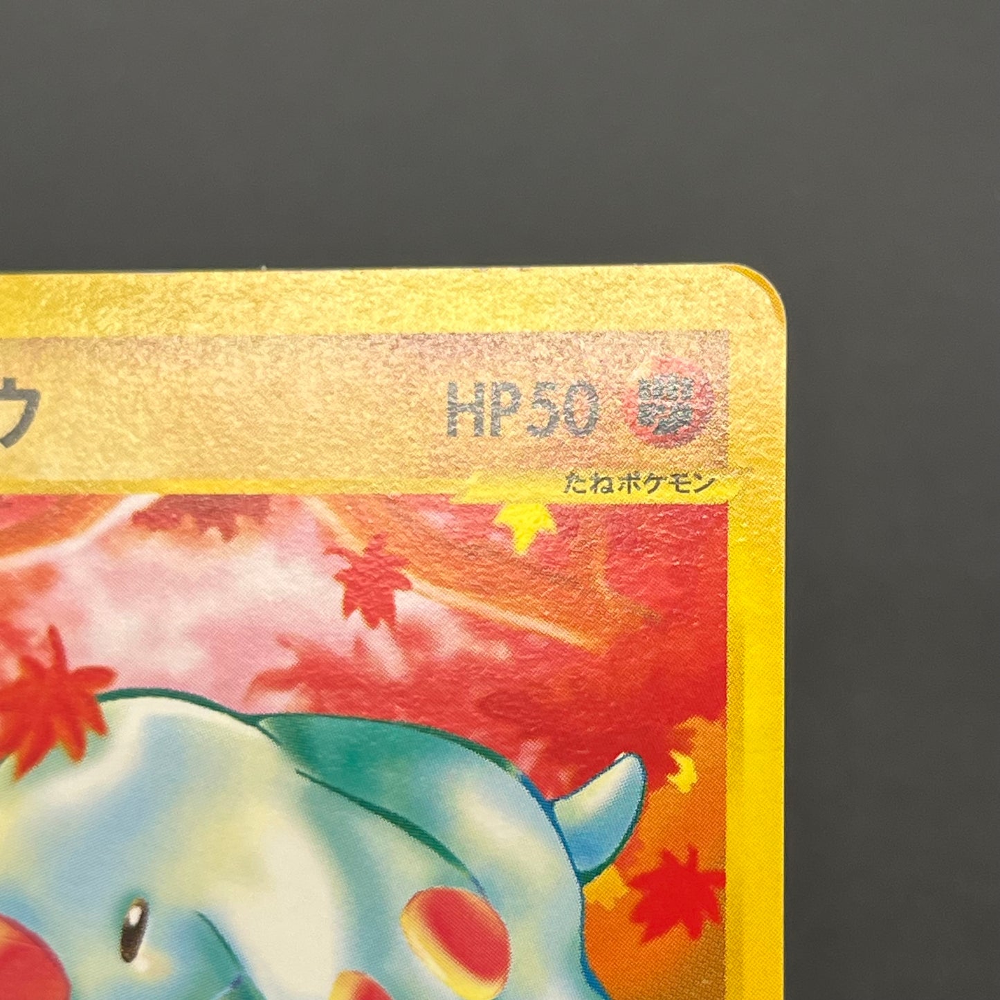 Phanpy 017/018 McDonald's Promo E-Series Pokemon Card