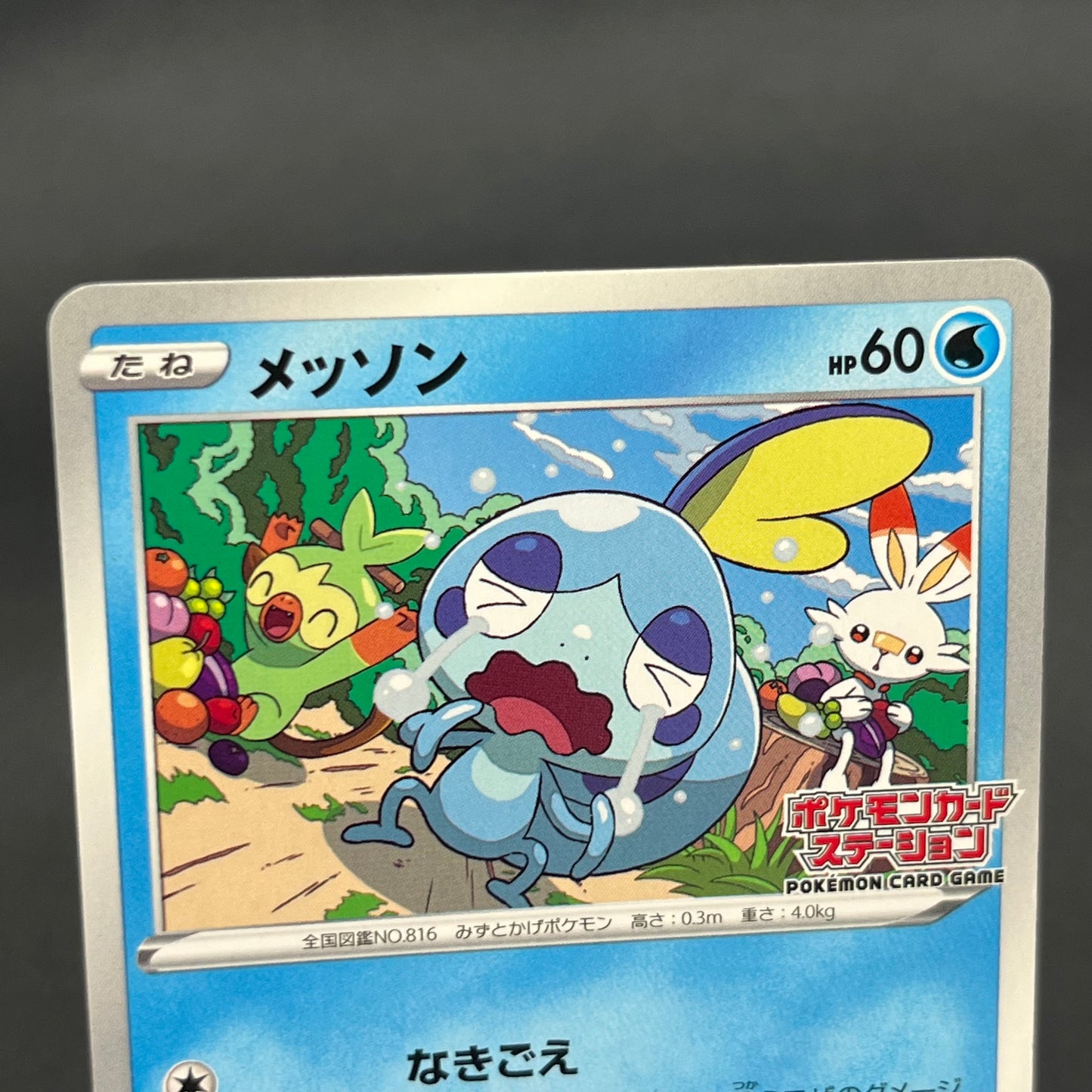 Sobble 008/S-P Promo SWSH Black Star Promos Pokemon Card