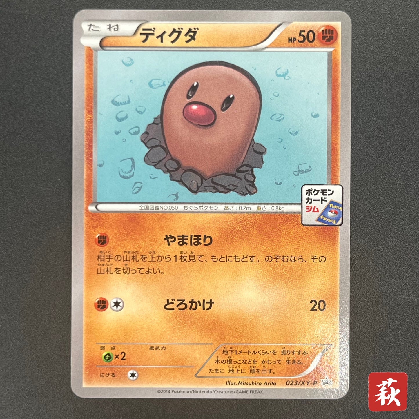 Diglett 023/XY-P Promo Gym Pack 2014 Japanese Pokemon Card