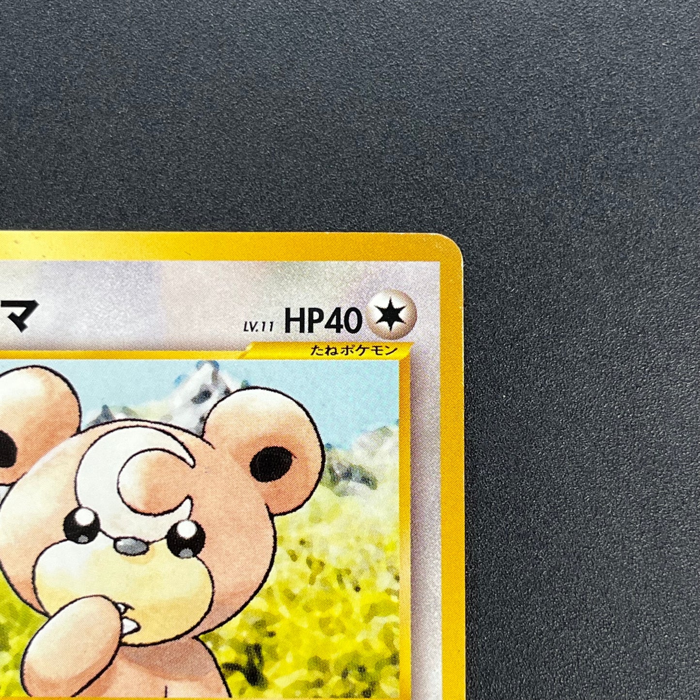 Teddiursa No. 216 Intro Pack Chikorita Deck Pokémon Card