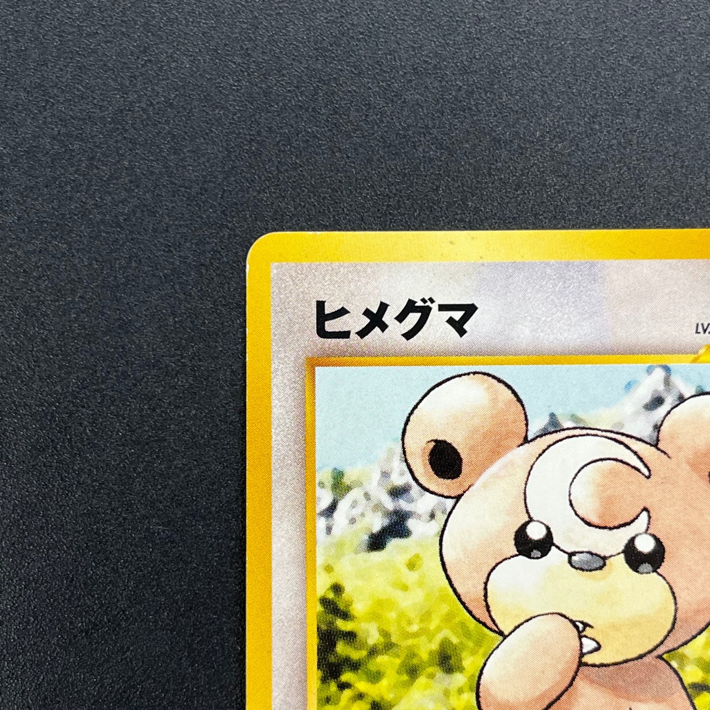 Teddiursa No. 216 Intro Pack Chikorita Deck Pokémon Card