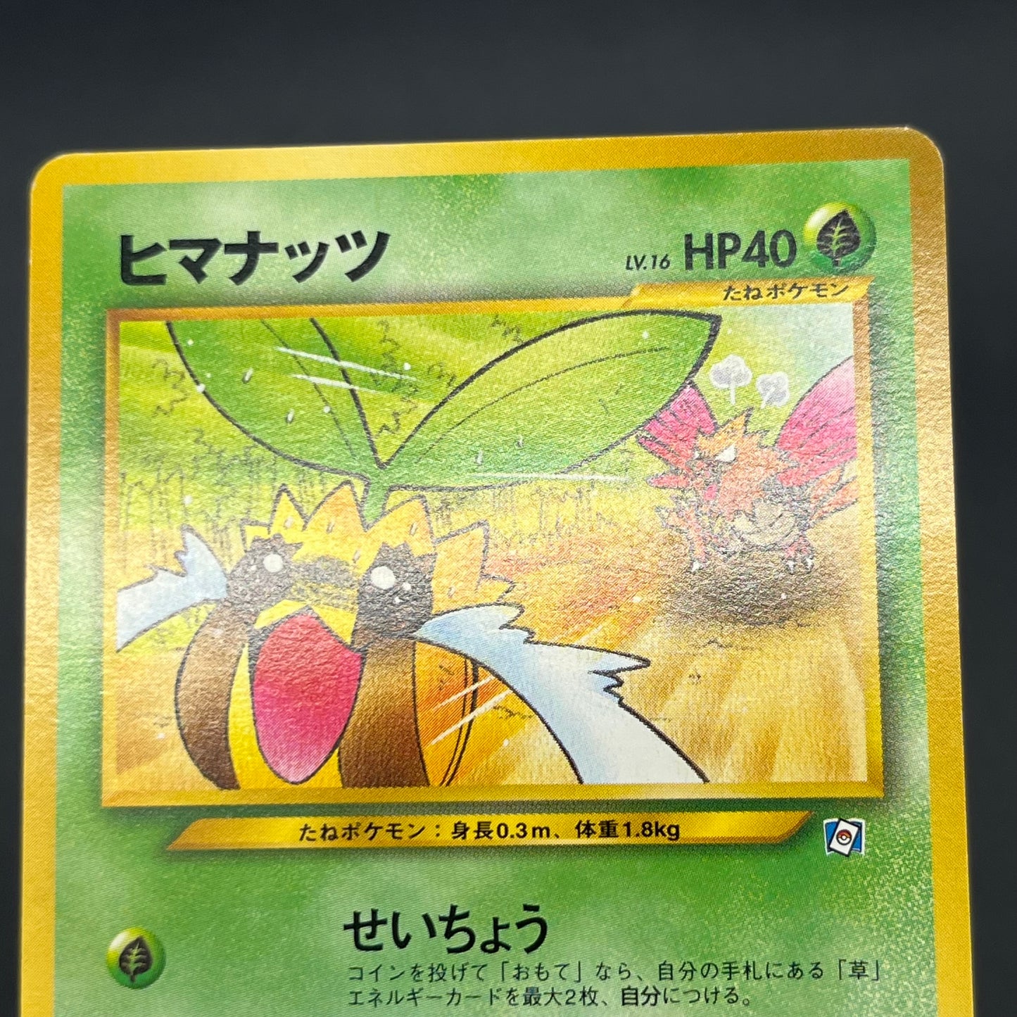 Sunkern 191 Natta Wake Vol.4 LP Promo Vintage Pokémon Card