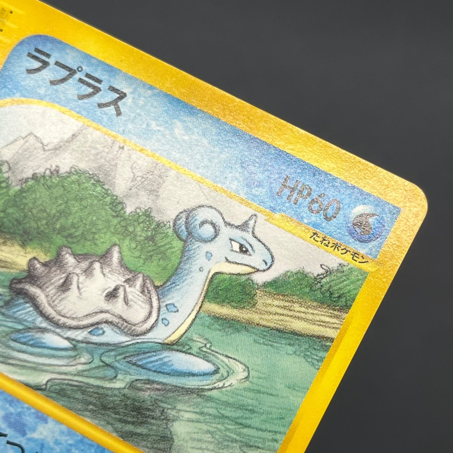 Lapras 029/088 Skyridge Mysterious Mountains Pokemon Card
