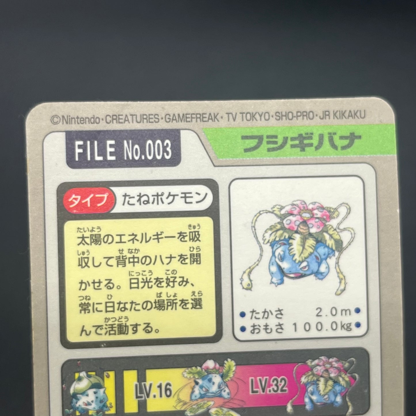 Blastoise Venusaur Bandai Carddass Holo Pokémon Card